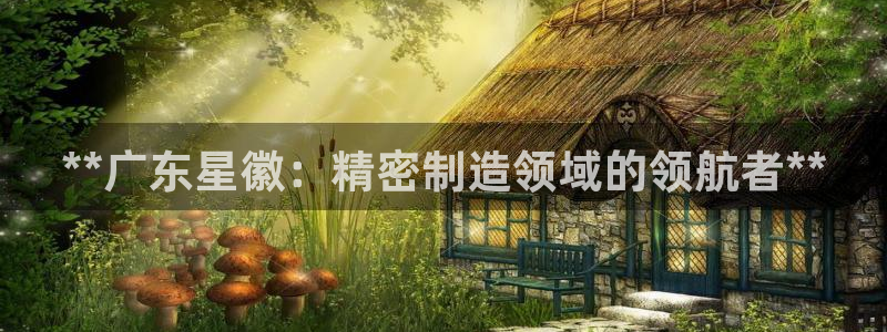 彩神v8app：**广东星徽：精密制造领域的领航者**