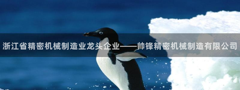 彩神官方登录：浙江省精密机械制造业龙头企业——帅锋精密机械制造有限公司