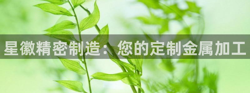 彩神v8下载