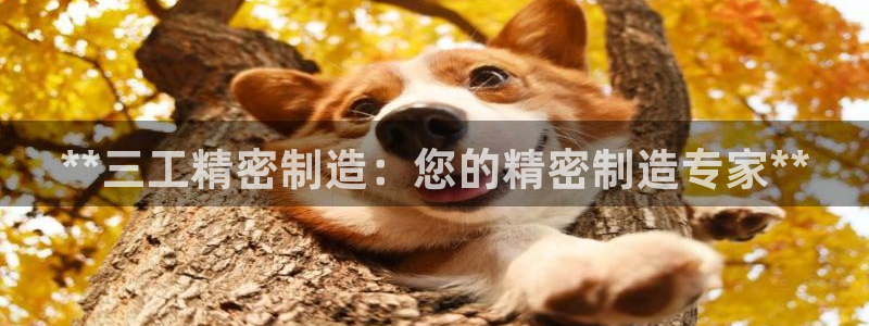 彩神8最新版下载