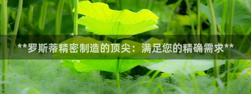 彩神v8手机客户端在哪：**罗斯蒂精密制造的顶尖：满足您的精确需求**