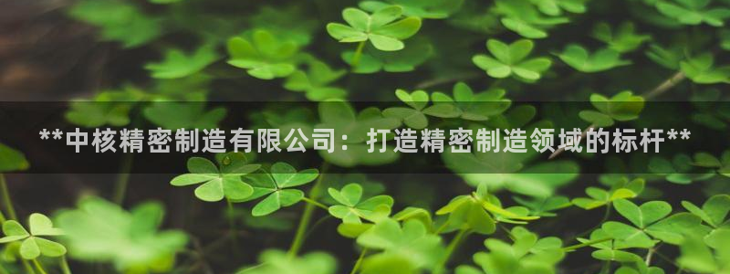 彩神ix是真的吗：**中核精密制造有限公司：打造精密制造领域的标杆**