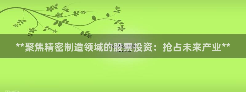 彩神网正规吗：**聚焦精密制造领域的股票投资：抢占未来产业**