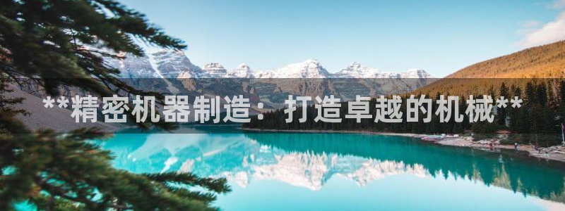 彩神8软件下载：**精密机器制造：打造卓越的机械**