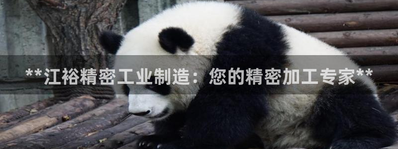 彩神8是正规平台吗安全吗：**江裕精密工业制造：您的精密加工专家**