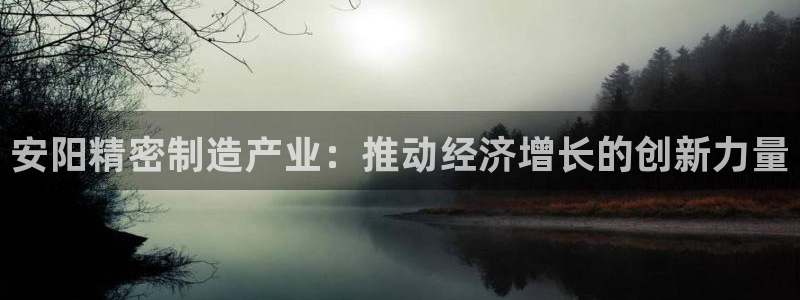 彩神是正规平台吗是真的吗：安阳精密制造产业：推动经济增长的创新力量