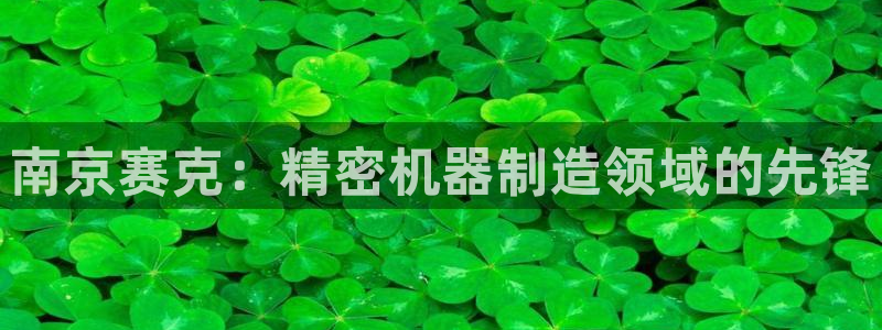 彩神v集团有限公司