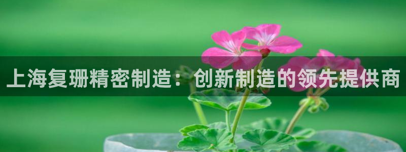 彩神8是正规平台吗是正品吗：上海复珊精密制造：创新制造的领先提供商
