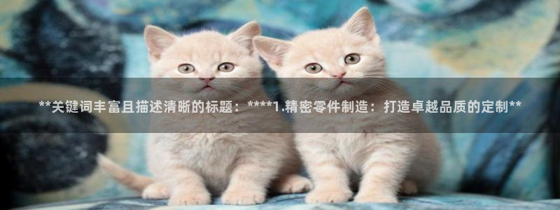 彩神vip购彩大厅下载：**关键词丰富且描述清晰的标题：****1.精密零件制造：打造卓越品质的定制**