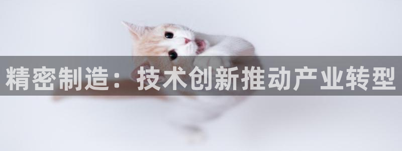 彩神新微聊：精密制造：技术创新推动产业转型