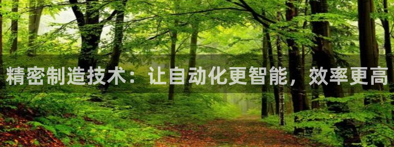 大发彩神官网下载：精密制造技术：让自动化更智能，效率更高