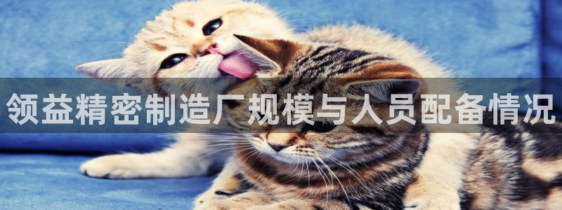彩神v8几个版本：领益精密制造厂规模与人员配备情况