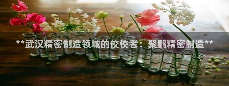 彩神v彩搜狗：**武汉精密制造领域的佼佼者：聚鹏精密制造**