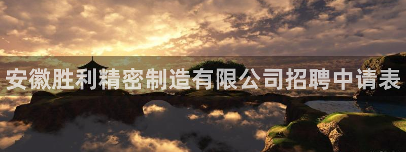 彩神v集团有限公司：安徽胜利精密制造有限公司招聘中请表
