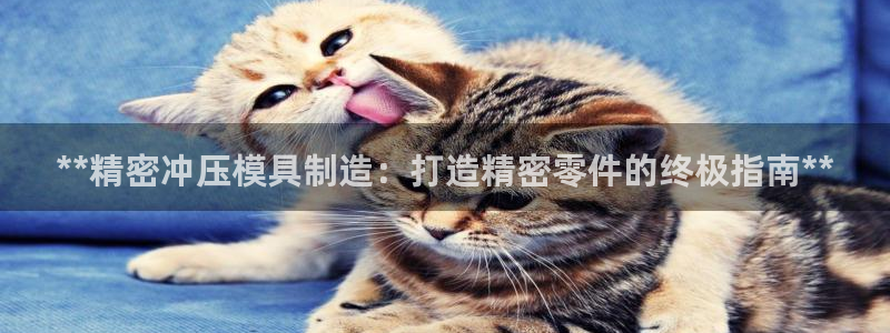 彩神Vll购彩大厅：**精密冲压模具制造：打造精密零件的终极指南**