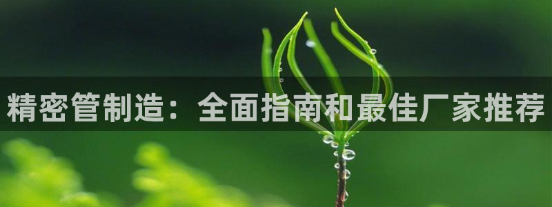 彩神大发黑平台：精密管制造：全面指南和最佳厂家推荐