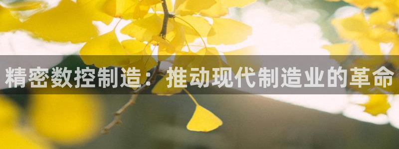 彩神8购彩-购彩大厅：精密数控制造：推动现代制造业的革命