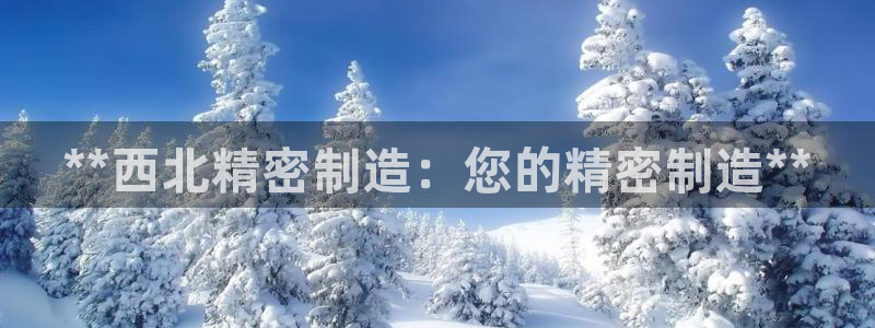 彩神ii官方网：**西北精密制造：您的精密制造**