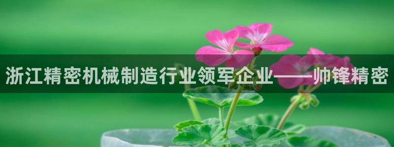 彩神Vll：浙江精密机械制造行业领军企业——帅锋精密