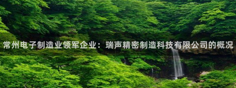 彩神ⅴll用户登录：常州电子制造业领军企业：瑞声精密制造科技有限公司的概况