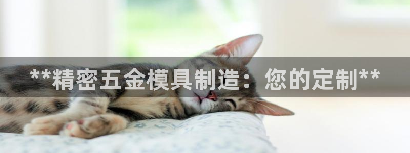 彩神vi官网版：**精密五金模具制造：您的定制**