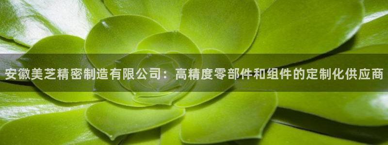 彩神v争霸有限公司：安徽美芝精密制造有限公司：高精度零部件和组件的定制化供应商
