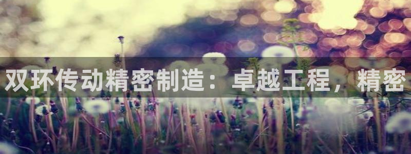 彩神通关注码金码对应码：双环传动精密制造：卓越工程，精密