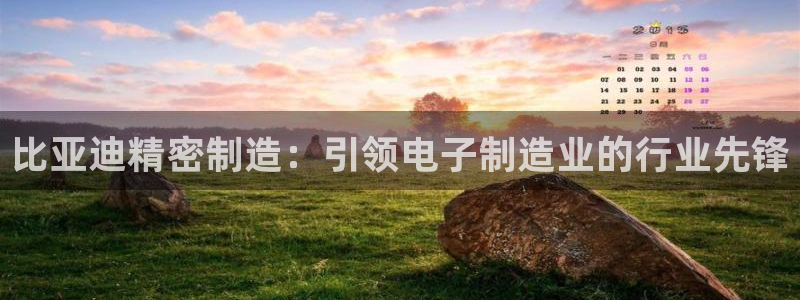 彩神iv能赚钱吗：比亚迪精密制造：引领电子制造业的行业先锋