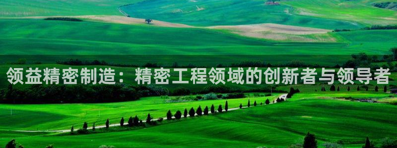彩神v8app：领益精密制造：精密工程领域的创新者与领导者