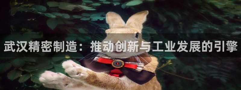 彩神是真的吗：武汉精密制造：推动创新与工业发展的引擎