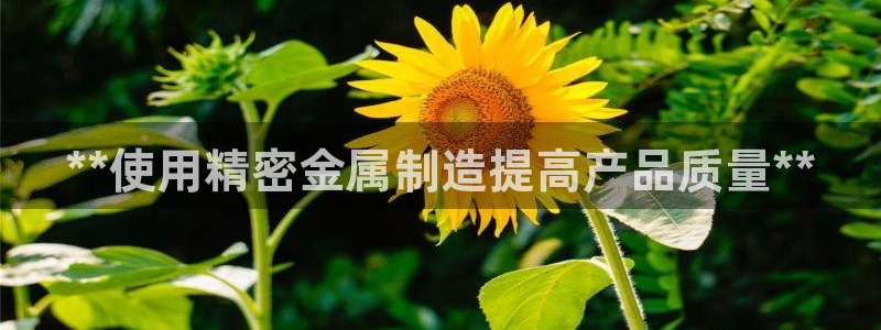 彩神vip购彩大厅下载：**使用精密金属制造提高产品质量**