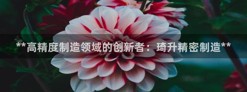 彩神购彩-购彩大厅入口：**高精度制造领域的创新者：琦升精密制造**