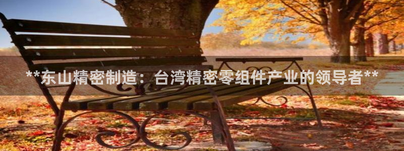 彩神vlll(中国)百度百科：**东山精密制造：台湾精密零组件产业的领导者**