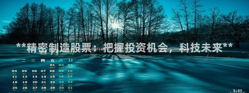 彩神赢的钱是哪里来的：**精密制造股票：把握投资机会，科技未来**