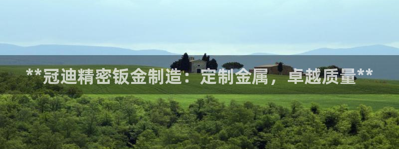 彩神v天天：**冠迪精密钣金制造：定制金属，卓越质量**