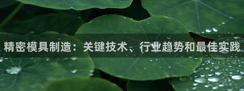 彩神争霸官方下载：精密模具制造：关键技术、行业趋势和最佳实践