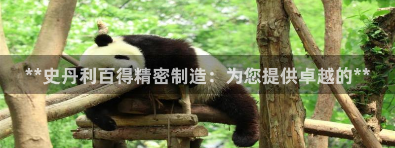 彩神购彩-购彩大厅入口娱乐首选：**史丹利百得精密制造：为您提供卓越的**