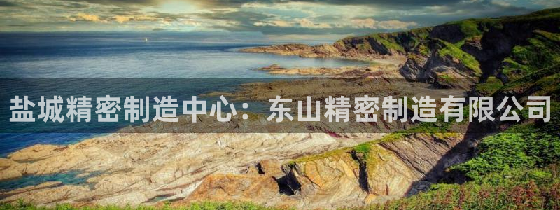 彩神vip购彩大厅：盐城精密制造中心：东山精密制造有限公司