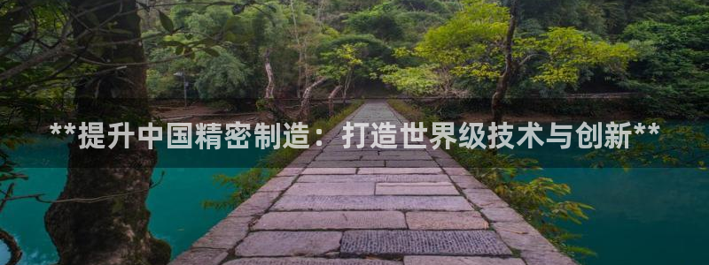 彩神v8几个版本：**提升中国精密制造：打造世界级技术与创新**