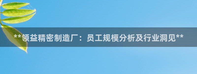 新版彩神v8登录：**领益精密制造厂：员工规模分析及行业洞见**