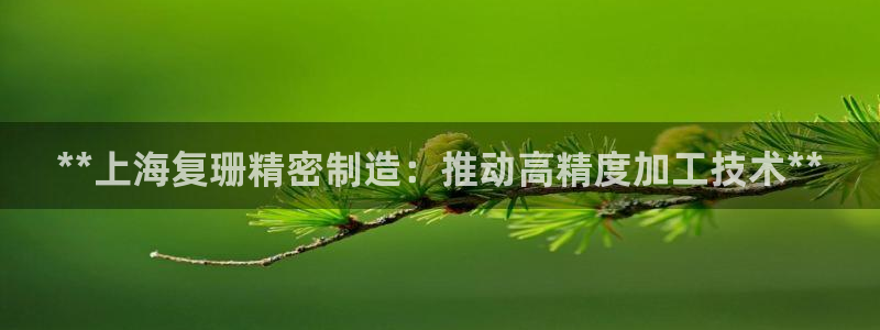 彩神V8平台：**上海复珊精密制造：推动高精度加工技术**