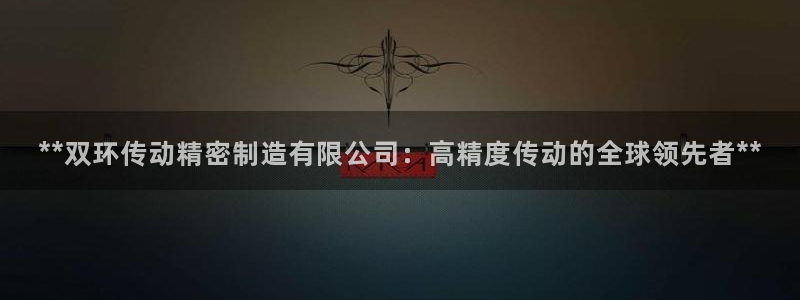 彩神8彩平台：**双环传动精密制造有限公司：高精度传动的全球领先者**