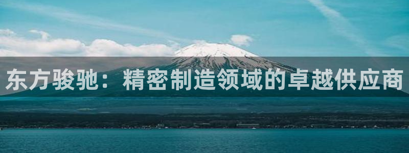 彩神争霸官网登录平台：东方骏驰：精密制造领域的卓越供应商