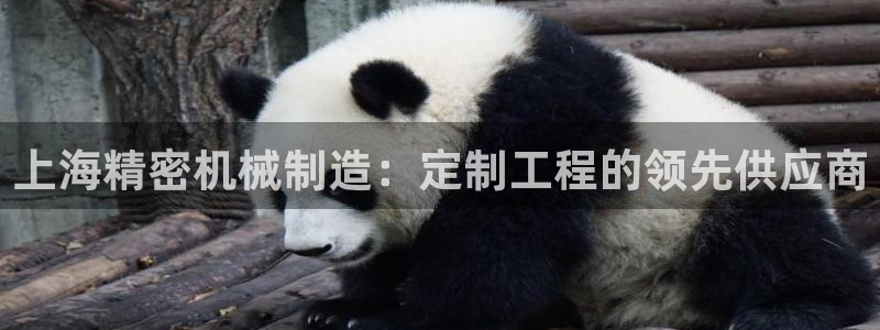 新版彩神v8登录：上海精密机械制造：定制工程的领先供应商