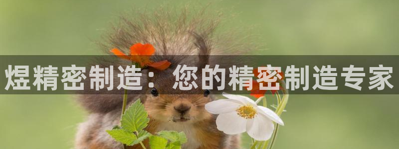 v大发彩神8iii：煜精密制造：您的精密制造专家