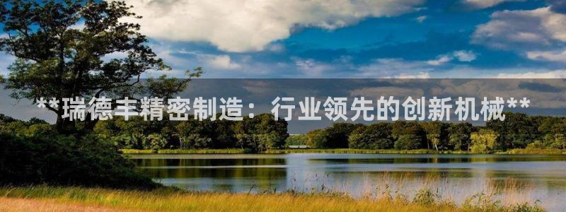 彩神Vll：**瑞德丰精密制造：行业领先的创新机械**