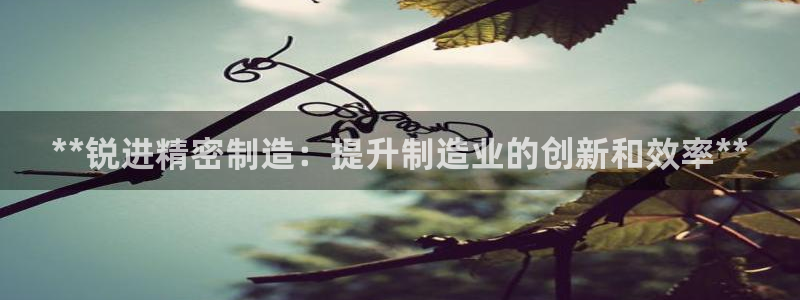 彩神V8平台：**锐进精密制造：提升制造业的创新和效率**