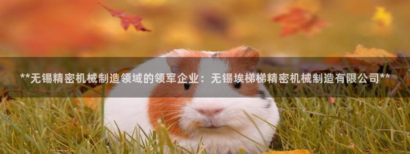 彩神v1破解器：**无锡精密机械制造领域的领军企业：无锡埃梯梯精密机械制造有限公司**