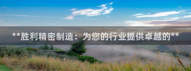 彩神v彩搜狗：**胜利精密制造：为您的行业提供卓越的**