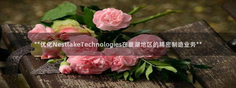 彩神通官方网：**优化NestlakeTechnologies在巢湖地区的精密制造业务**